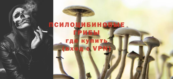 прущий лед Алзамай