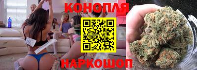 мдпв Гатчина