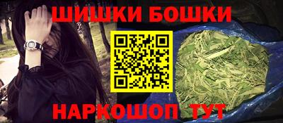 мдпв Гатчина