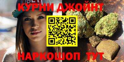 мдпв Гатчина