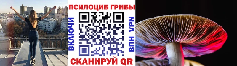 Галлюциногенные грибы MAGIC MUSHROOMS Новозыбков