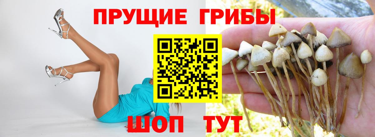 Галлюциногенные грибы MAGIC MUSHROOMS Новозыбков