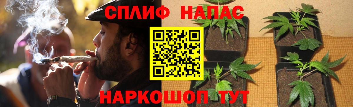 Каннабис Amnesia Новозыбков